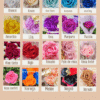 Rosa Eterna Individual con Envoltura Coreana– Más de 15 Colores Disponibles