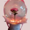 Rosa eterna englobada con luces